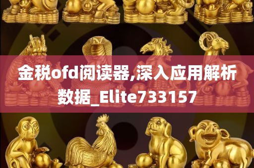 金税ofd阅读器,深入应用解析数据_Elite733157