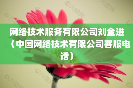 网络技术服务有限公司刘全进（中国网络技术有限公司客服电话）