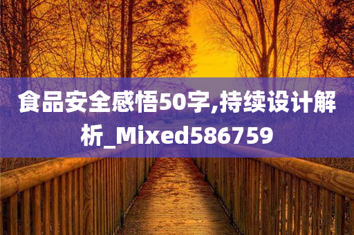 食品安全感悟50字,持续设计解析_Mixed586759