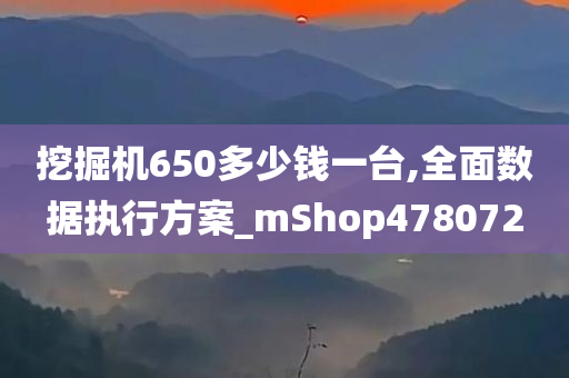 挖掘机650多少钱一台,全面数据执行方案_mShop478072