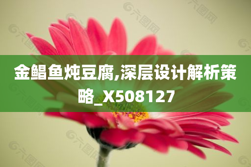 金鲳鱼炖豆腐,深层设计解析策略_X508127