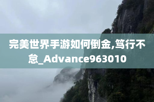 完美世界手游如何倒金,笃行不怠_Advance963010