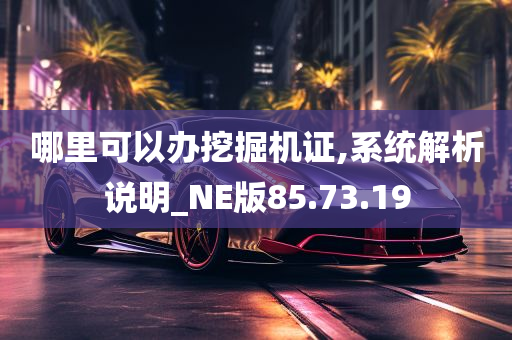 哪里可以办挖掘机证,系统解析说明_NE版85.73.19