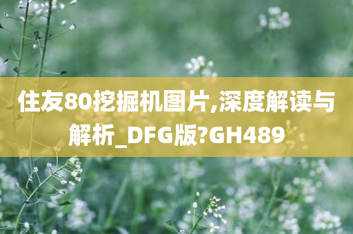 住友80挖掘机图片,深度解读与解析_DFG版?GH489