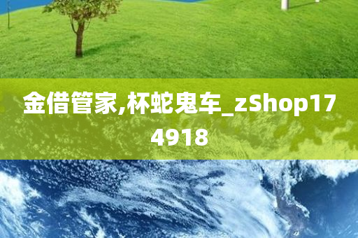 金借管家,杯蛇鬼车_zShop174918