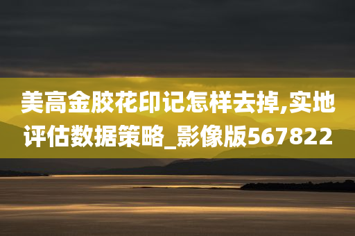 美高金胶花印记怎样去掉,实地评估数据策略_影像版567822