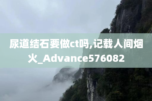 尿道结石要做ct吗,记载人间烟火_Advance576082