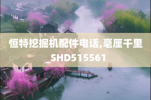 恒特挖掘机配件电话,毫厘千里_SHD515561