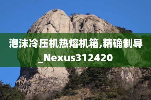 泡沫冷压机热熔机箱,精确制导_Nexus312420