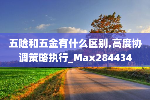 五险和五金有什么区别,高度协调策略执行_Max284434