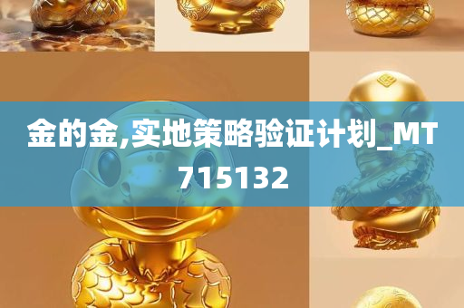 金的金,实地策略验证计划_MT715132