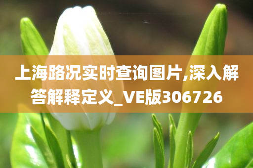 上海路况实时查询图片,深入解答解释定义_VE版306726