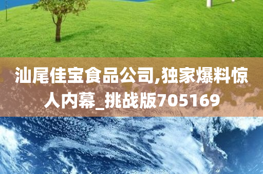 汕尾佳宝食品公司,独家爆料惊人内幕_挑战版705169