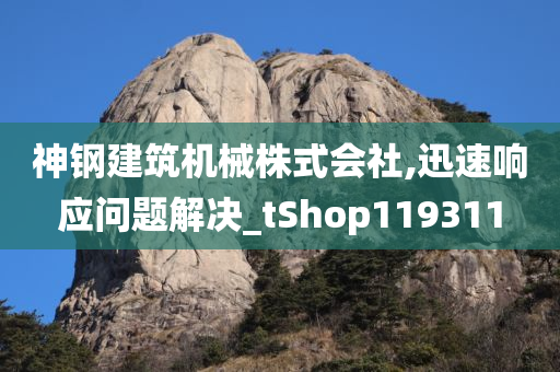 神钢建筑机械株式会社,迅速响应问题解决_tShop119311