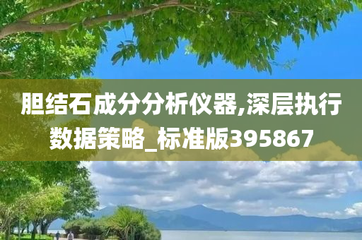 胆结石成分分析仪器,深层执行数据策略_标准版395867