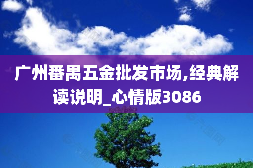 广州番禺五金批发市场,经典解读说明_心情版3086