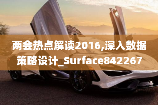 两会热点解读2016,深入数据策略设计_Surface842267