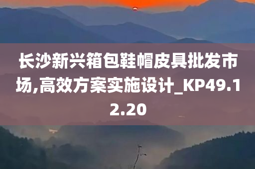 长沙新兴箱包鞋帽皮具批发市场,高效方案实施设计_KP49.12.20