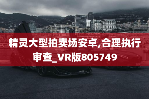 精灵大型拍卖场安卓,合理执行审查_VR版805749