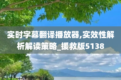 实时字幕翻译播放器,实效性解析解读策略_援救版5138