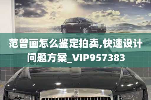 范曾画怎么鉴定拍卖,快速设计问题方案_VIP957383