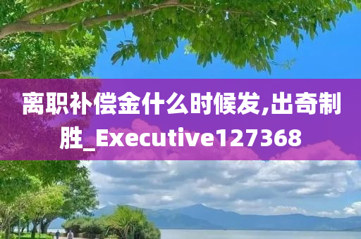 离职补偿金什么时候发,出奇制胜_Executive127368