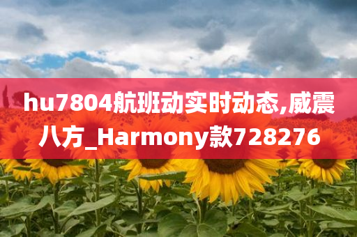 hu7804航班动实时动态,威震八方_Harmony款728276