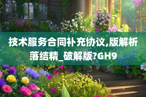 技术服务合同补充协议,版解析落结精_破解版?GH9