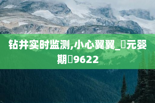 钻井实时监测,小心翼翼_‌元婴期‌9622