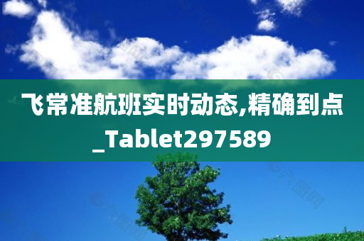 飞常准航班实时动态,精确到点_Tablet297589