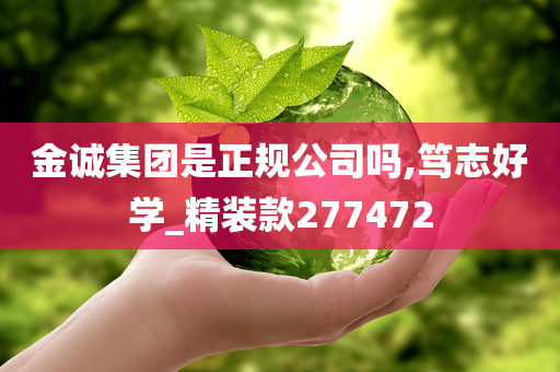 金诚集团是正规公司吗,笃志好学_精装款277472