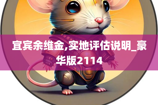 宜宾余维金,实地评估说明_豪华版2114