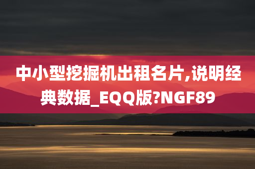 中小型挖掘机出租名片,说明经典数据_EQQ版?NGF89