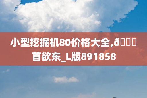 小型挖掘机80价格大全,🐎首欲东_L版891858