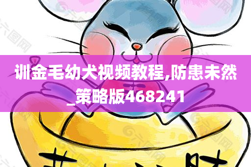 训金毛幼犬视频教程,防患未然_策略版468241