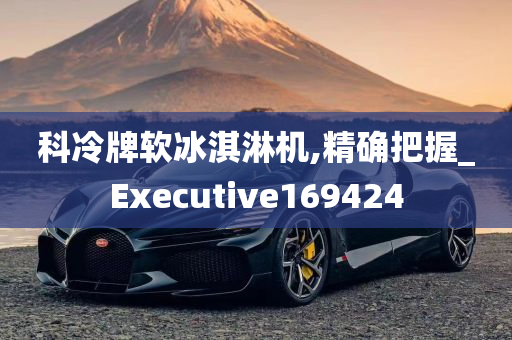 科冷牌软冰淇淋机,精确把握_Executive169424