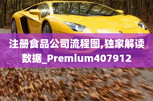 注册食品公司流程图,独家解读数据_Premium407912