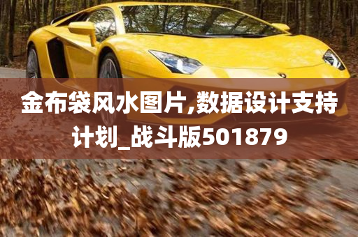 金布袋风水图片,数据设计支持计划_战斗版501879