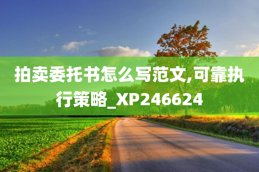 拍卖委托书怎么写范文,可靠执行策略_XP246624