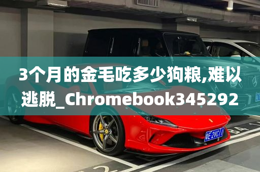 3个月的金毛吃多少狗粮,难以逃脱_Chromebook345292