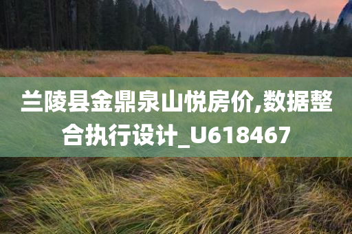 兰陵县金鼎泉山悦房价,数据整合执行设计_U618467