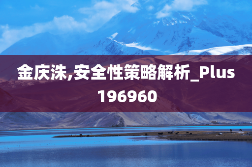 金庆洙,安全性策略解析_Plus196960