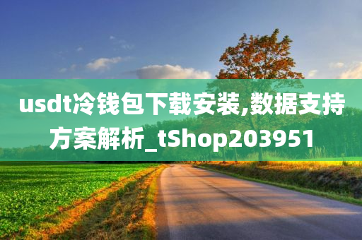 usdt冷钱包下载安装,数据支持方案解析_tShop203951