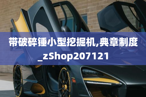 带破碎锤小型挖掘机,典章制度_zShop207121