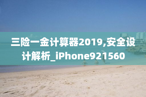 三险一金计算器2019,安全设计解析_iPhone921560