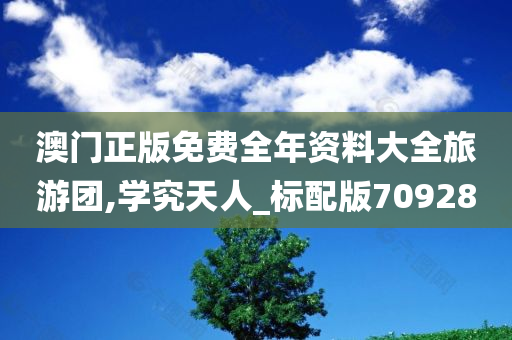 澳门正版免费全年资料大全旅游团,学究天人_标配版709280