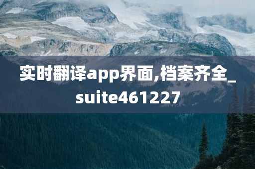 实时翻译app界面,档案齐全_suite461227