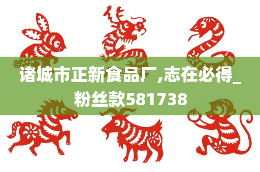 诸城市正新食品厂,志在必得_粉丝款581738