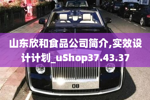 山东欣和食品公司简介,实效设计计划_uShop37.43.37