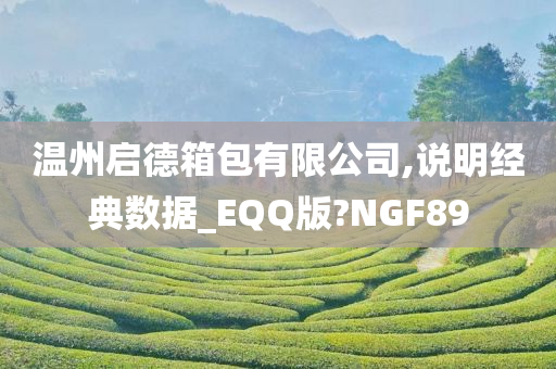 温州启德箱包有限公司,说明经典数据_EQQ版?NGF89